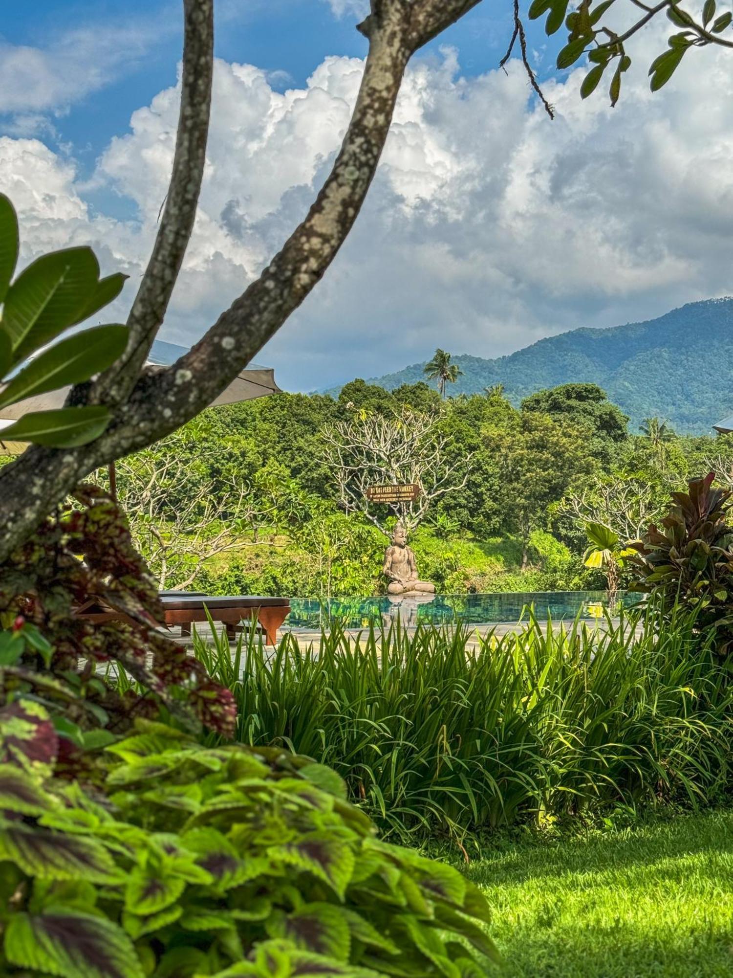 Shanti Natural Panorama View Hotel Singaraja  Exterior photo